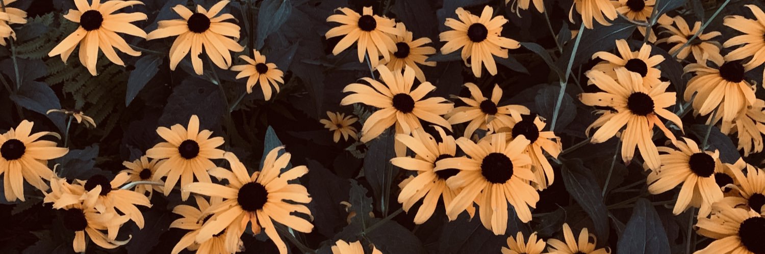 presley_kaye's profile banner image