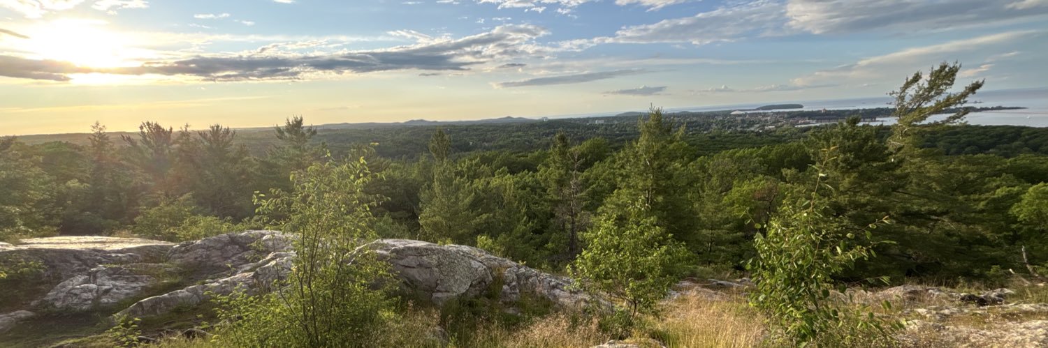 † Daniel Simon † banner