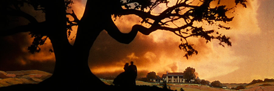 HolleyDecember's profile banner image
