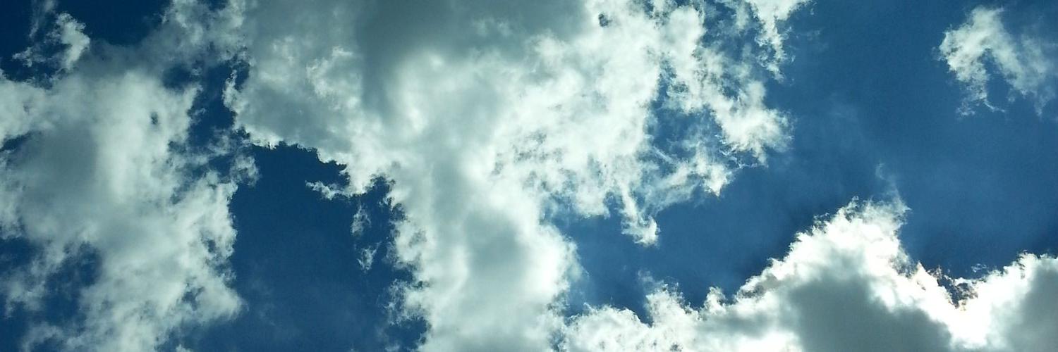 careysae's profile banner image