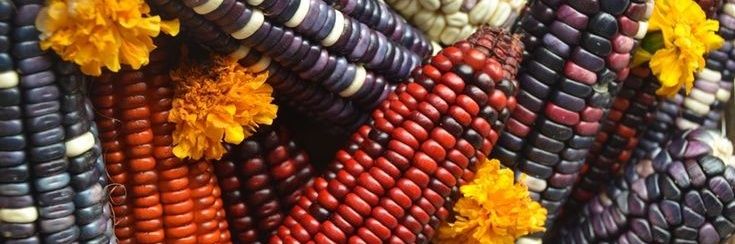 Chefmiliano's profile banner image