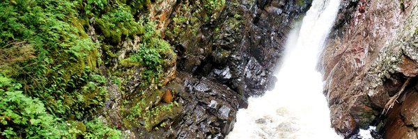 Big_Harrison73 Profile Banner