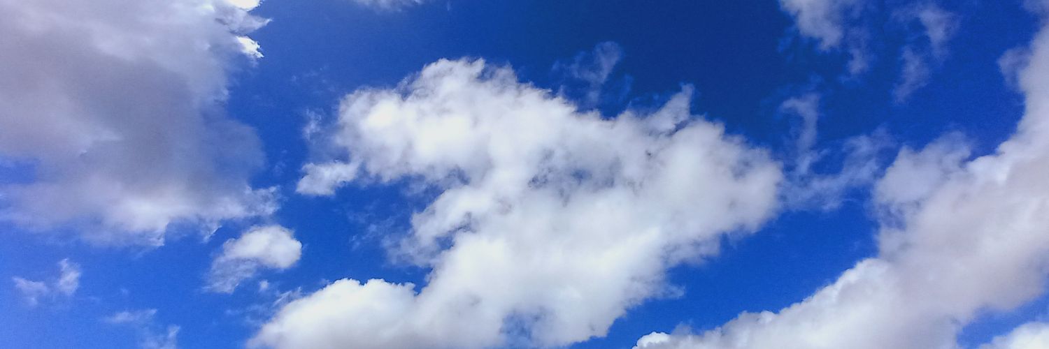 J. Paul Murdock banner