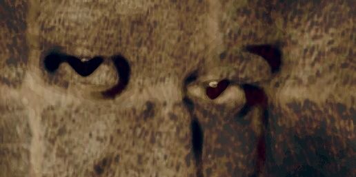 Mzamanidedj's profile banner image