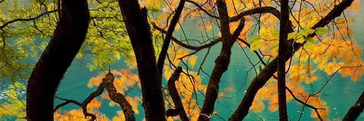 Danigz21's profile banner image