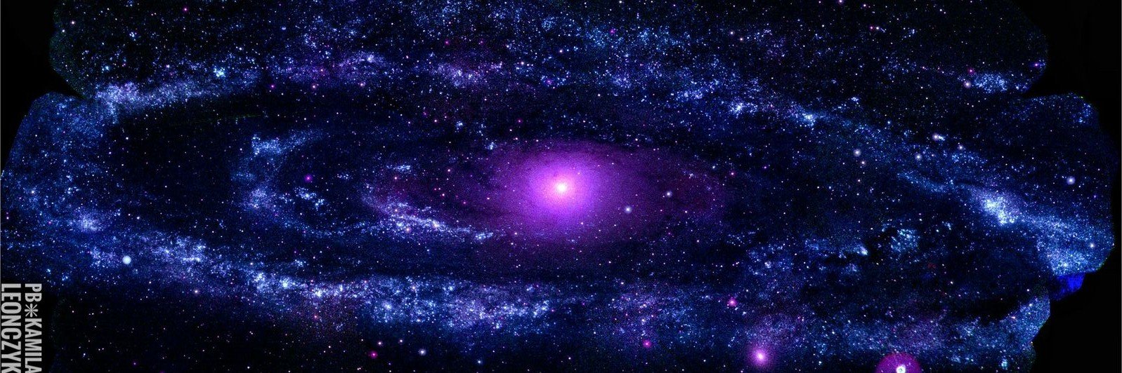 Carla Barrios banner