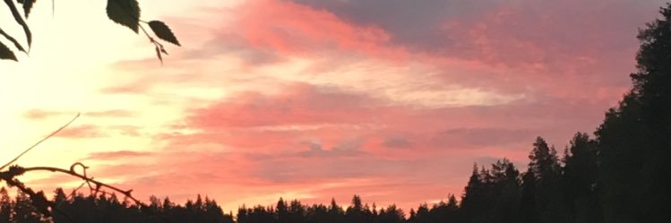 haapala_satu's profile banner image