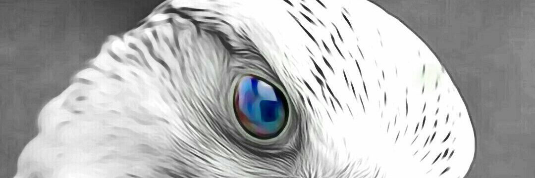 2882Deb's profile banner image