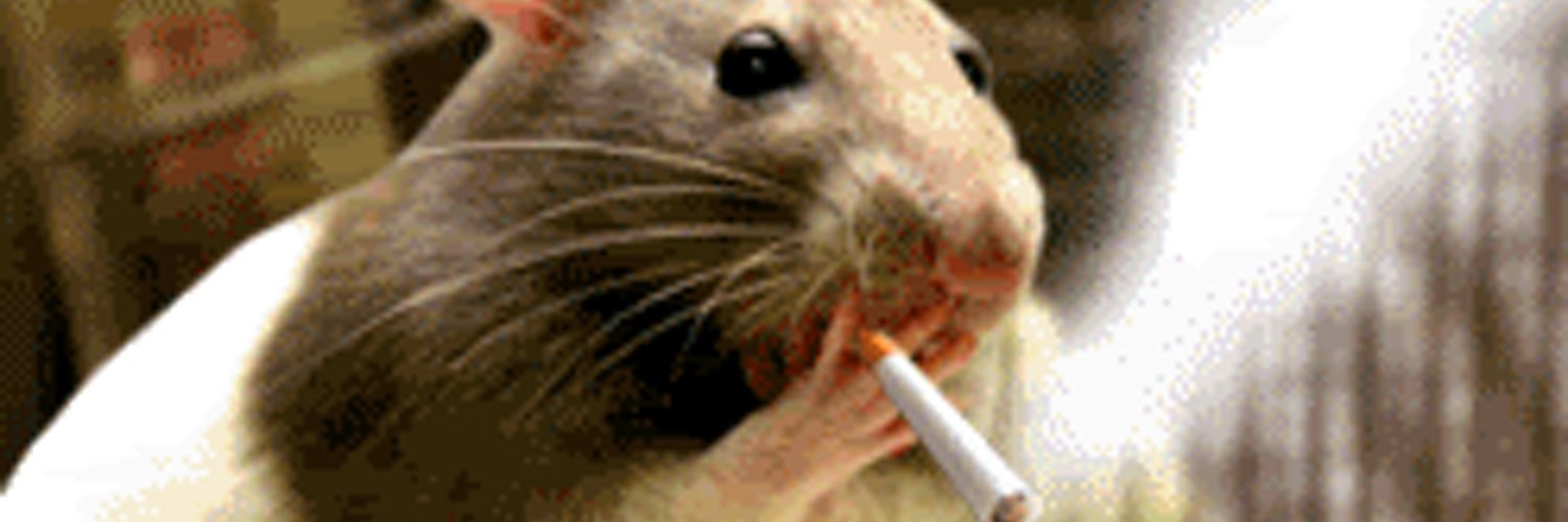 Frility's profile banner image
