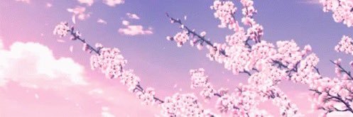 f0rest_elf's profile banner image