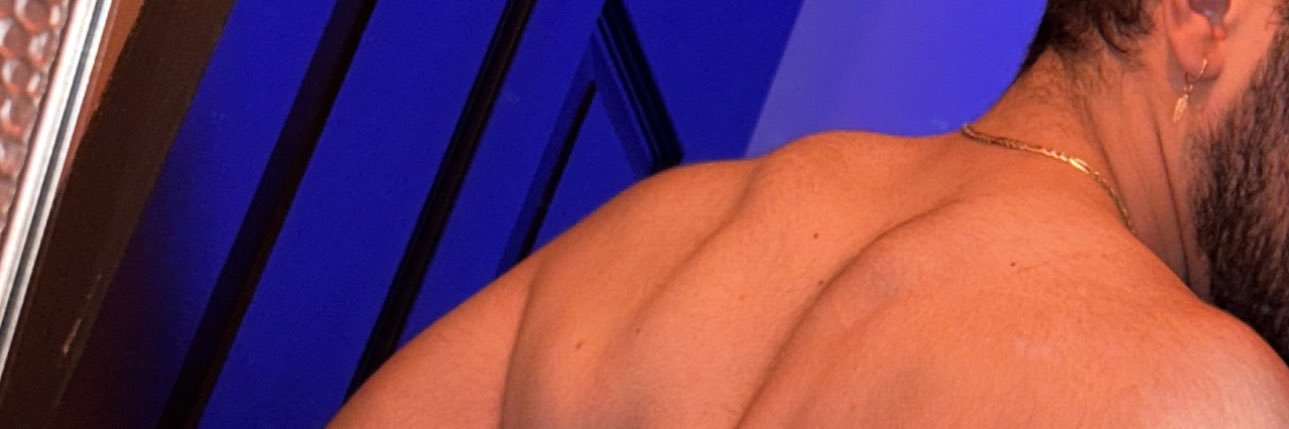 Polito banner