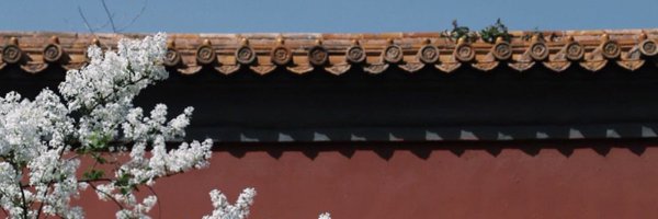 rongweiz Profile Banner