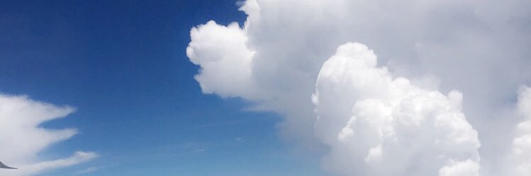 BeeOnyia's profile banner image