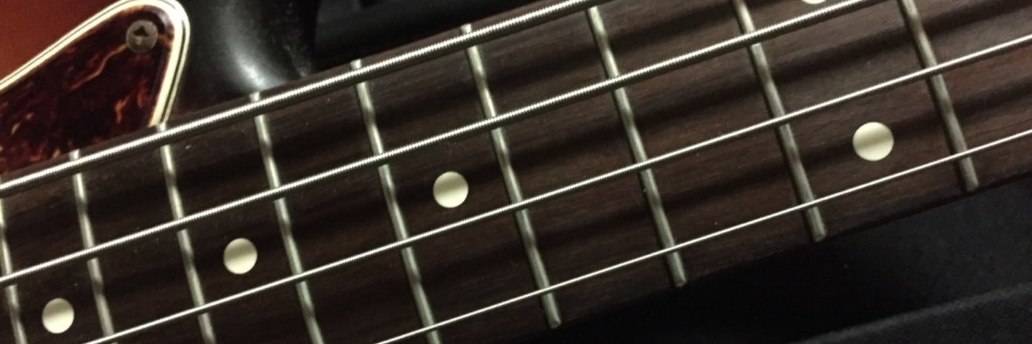 5gen_Fretless's profile banner image