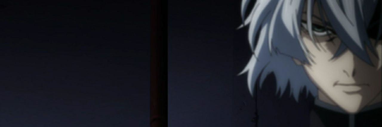 Shousa Lima banner