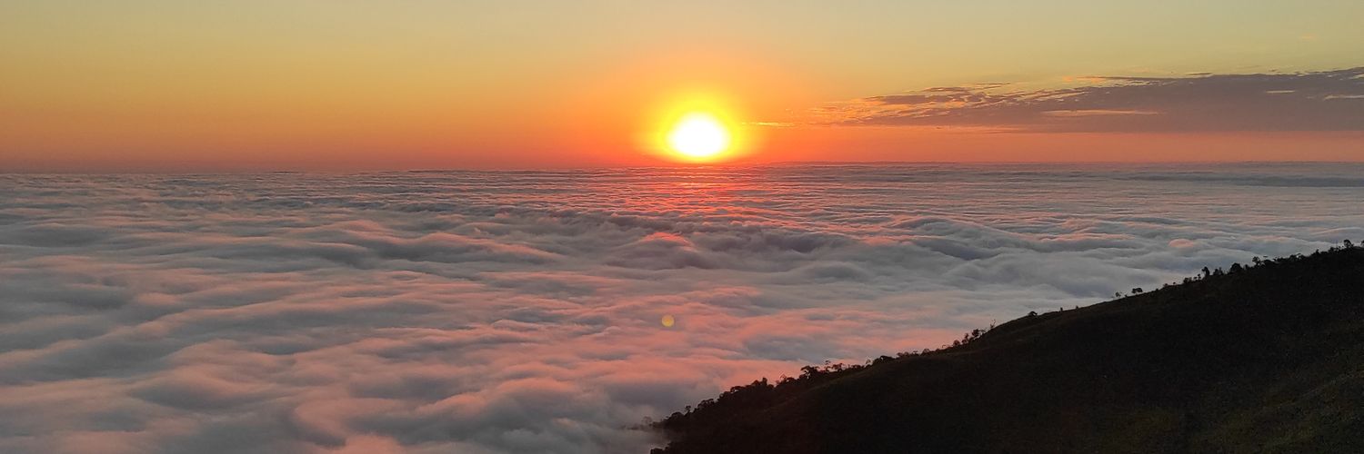 AriBFlores's profile banner image