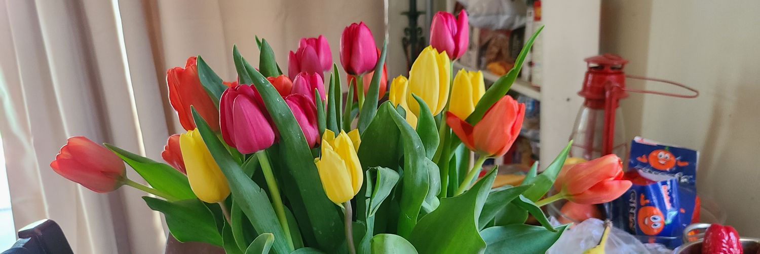 WHATEVER NEVERMIND 777 banner