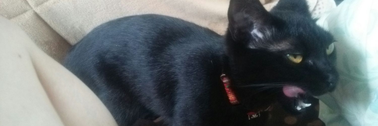 428Pooh's profile banner image