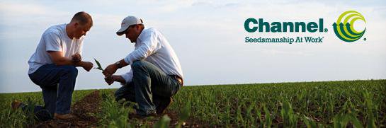 RowCropSolution's profile banner image