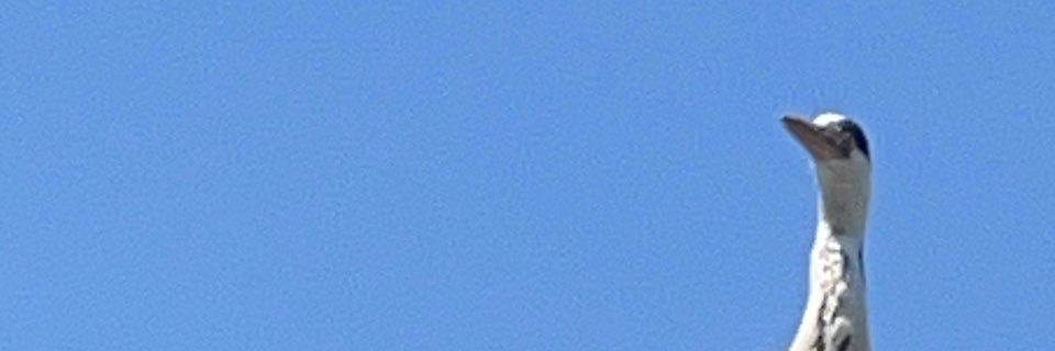 Masa69yeah's profile banner image