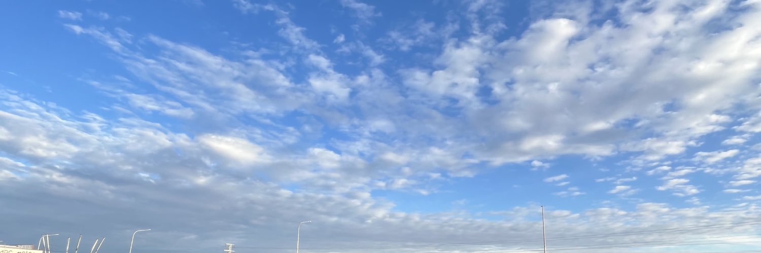 VUELVE VICENTE PIZARRO banner