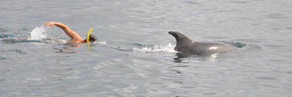 Nicholaswschew Profile Banner