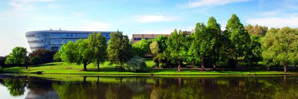 UoSPsychD Profile Banner