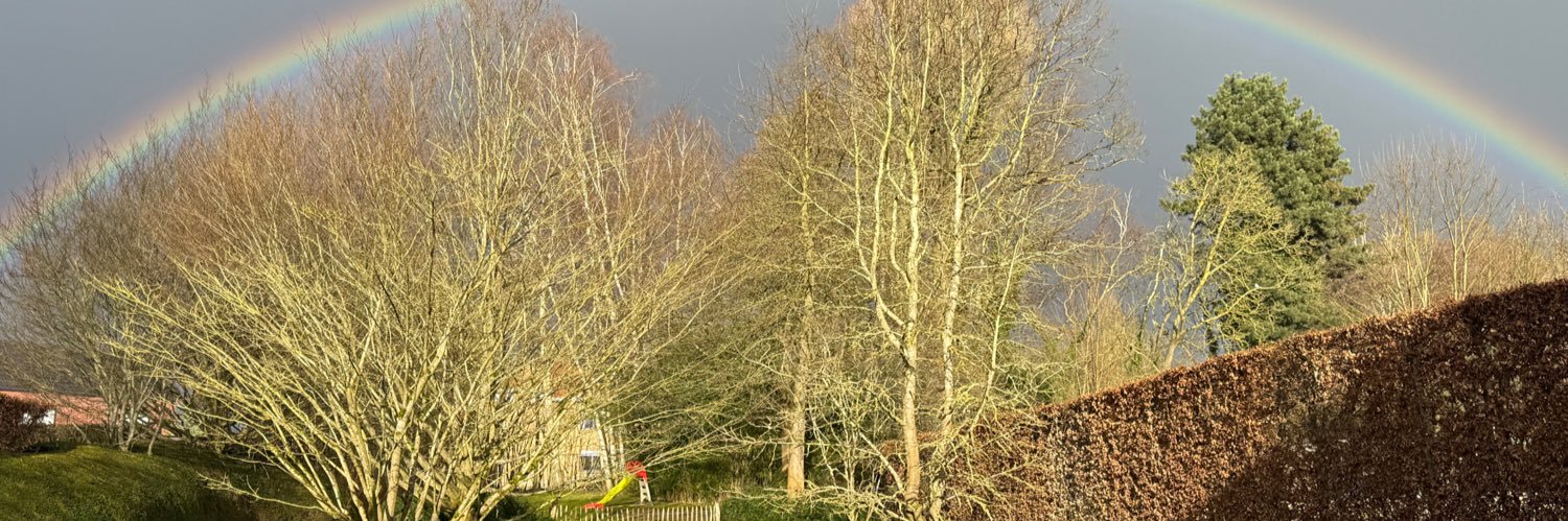 Geert Neetens banner