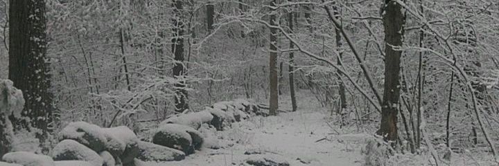 PhilodoxR's profile banner image
