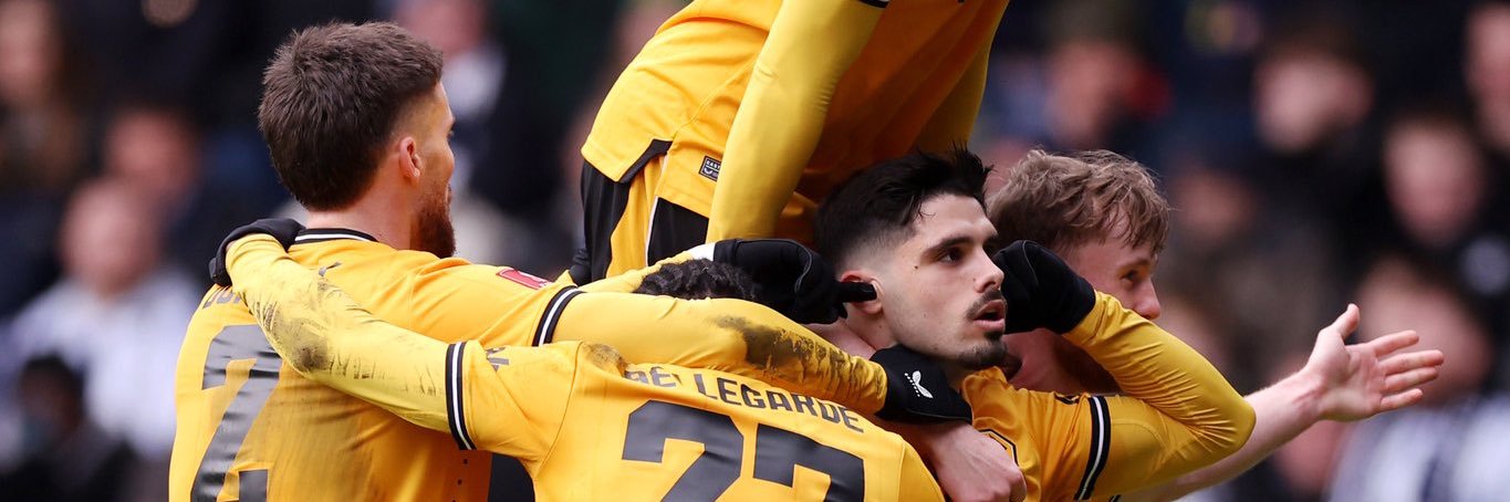 🐺 banner