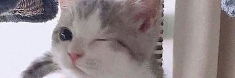 TomoUUU's profile banner image