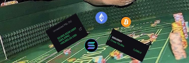 BLSZY's banner