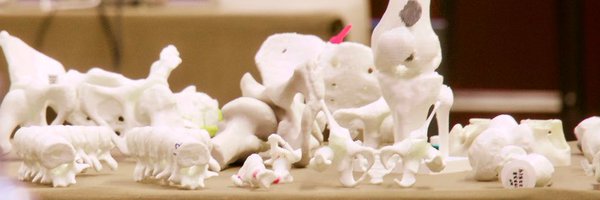 3Dcot Profile Banner