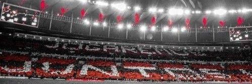 EMERS9N TETR4 ᶜʳᶠ banner