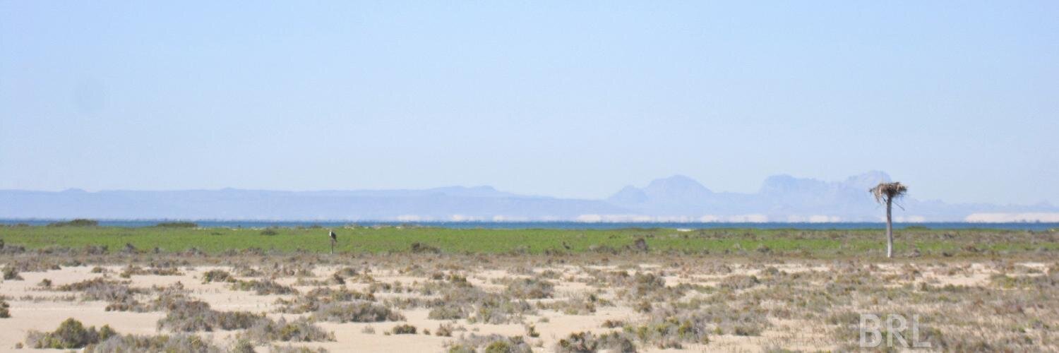 RochinMx's profile banner image