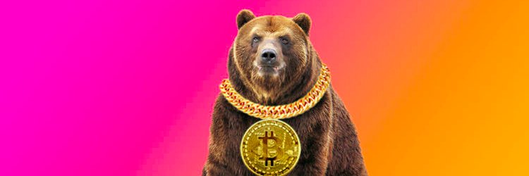 TradingJoe77's profile banner image