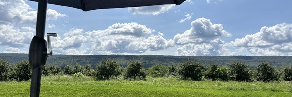 BeeKneeCards Profile Banner