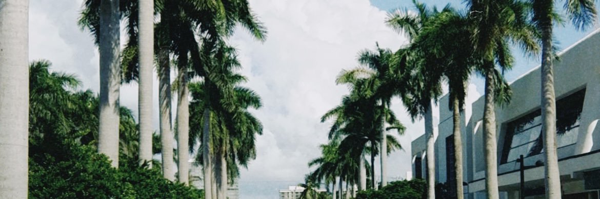 isaa_danielli's profile banner image