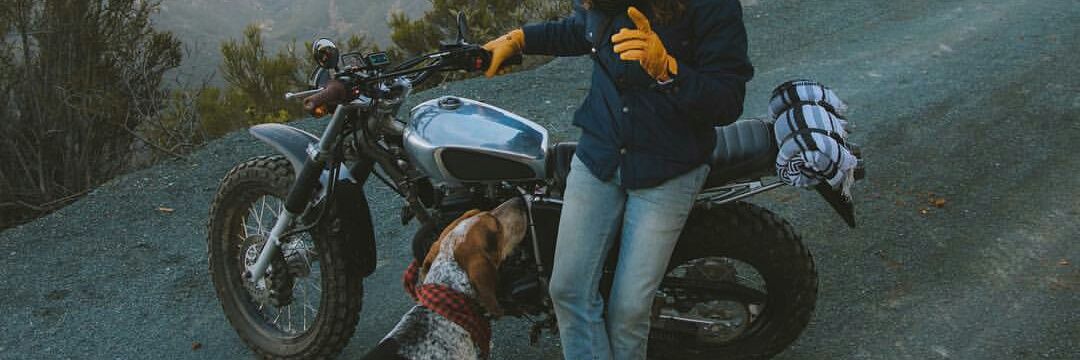 Niconggg's profile banner image
