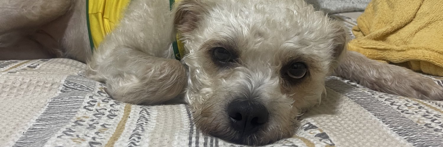 MateusSerrão_ banner