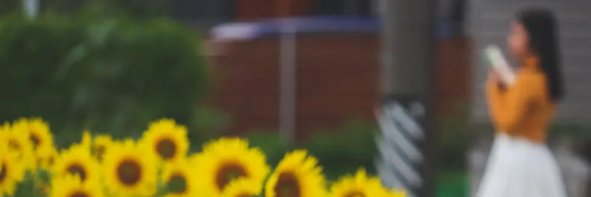 DianneASara's profile banner image