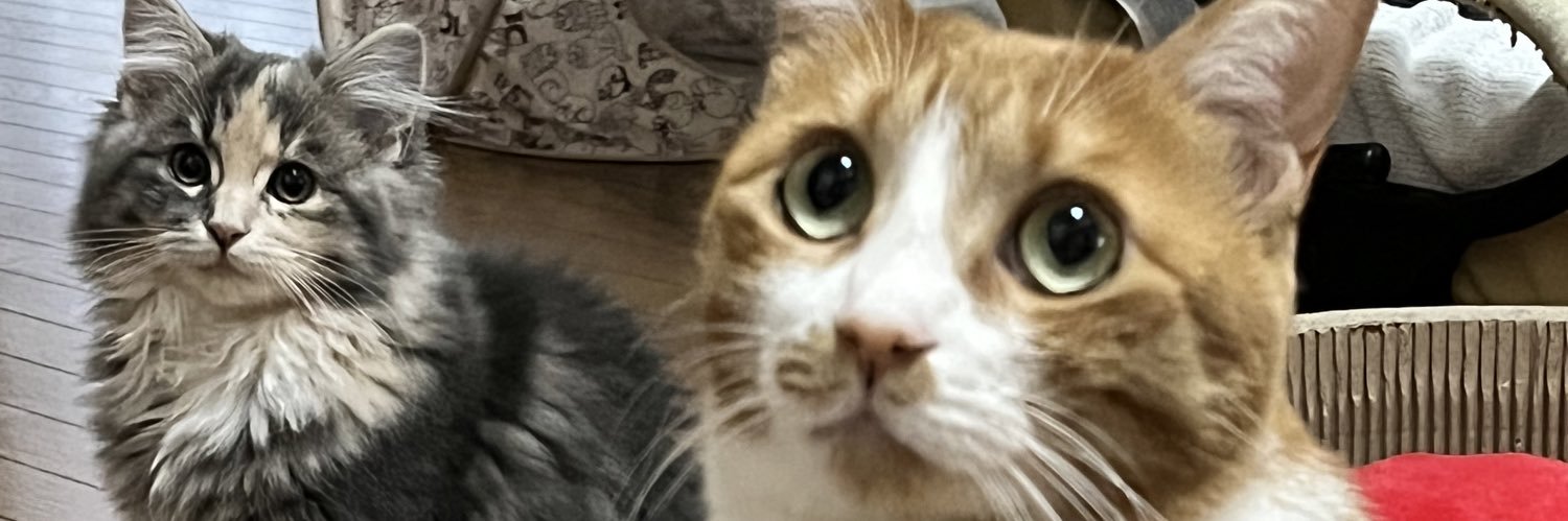 misapom's profile banner image
