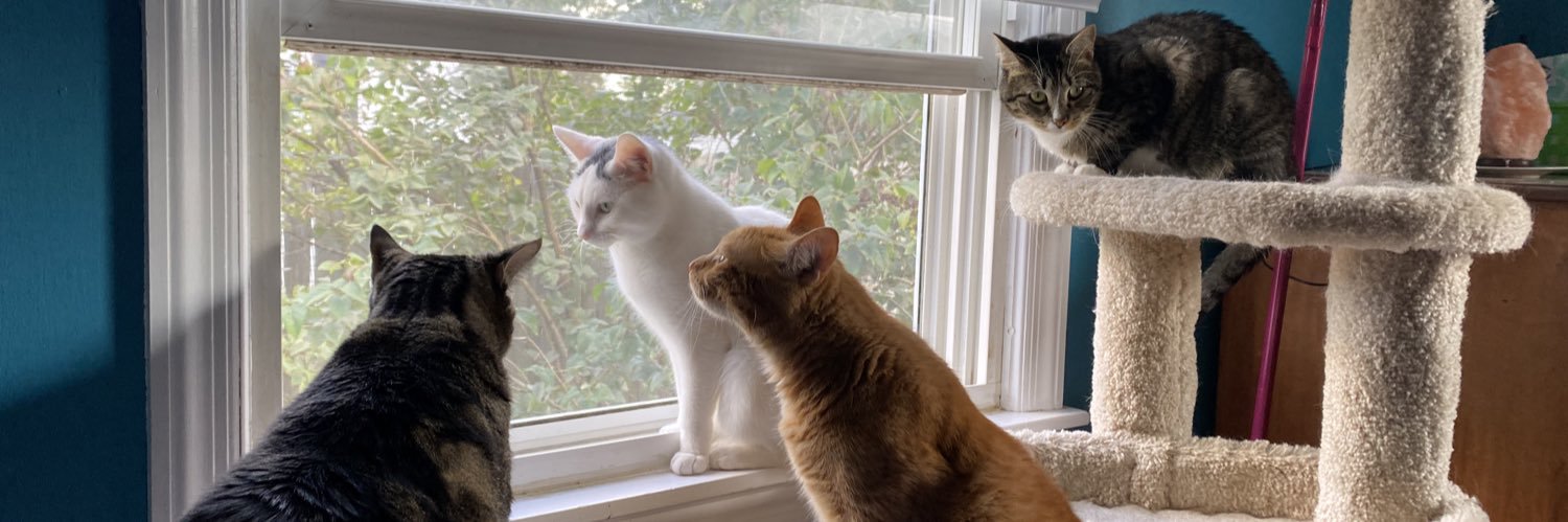 debbiesue56's profile banner image
