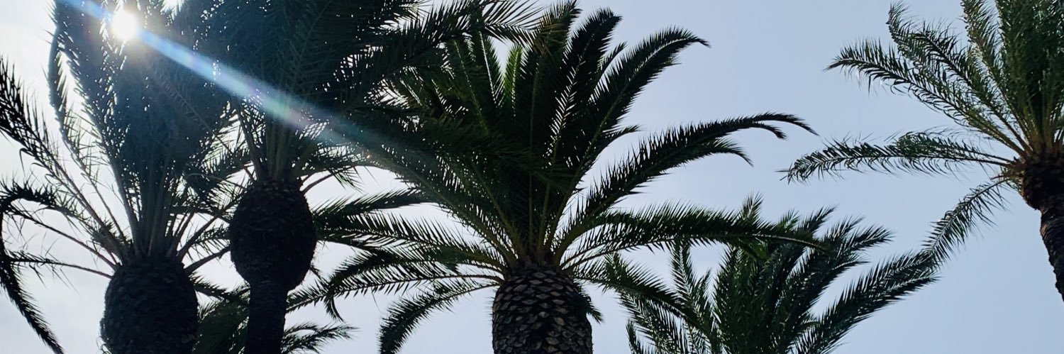 celiamfdz's profile banner image