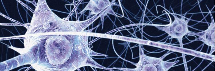 Andrea Arighi banner