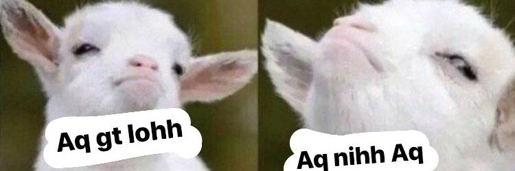 thisdinaa's profile banner image