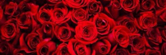 Chris Harrison (host when ratings were good) banner