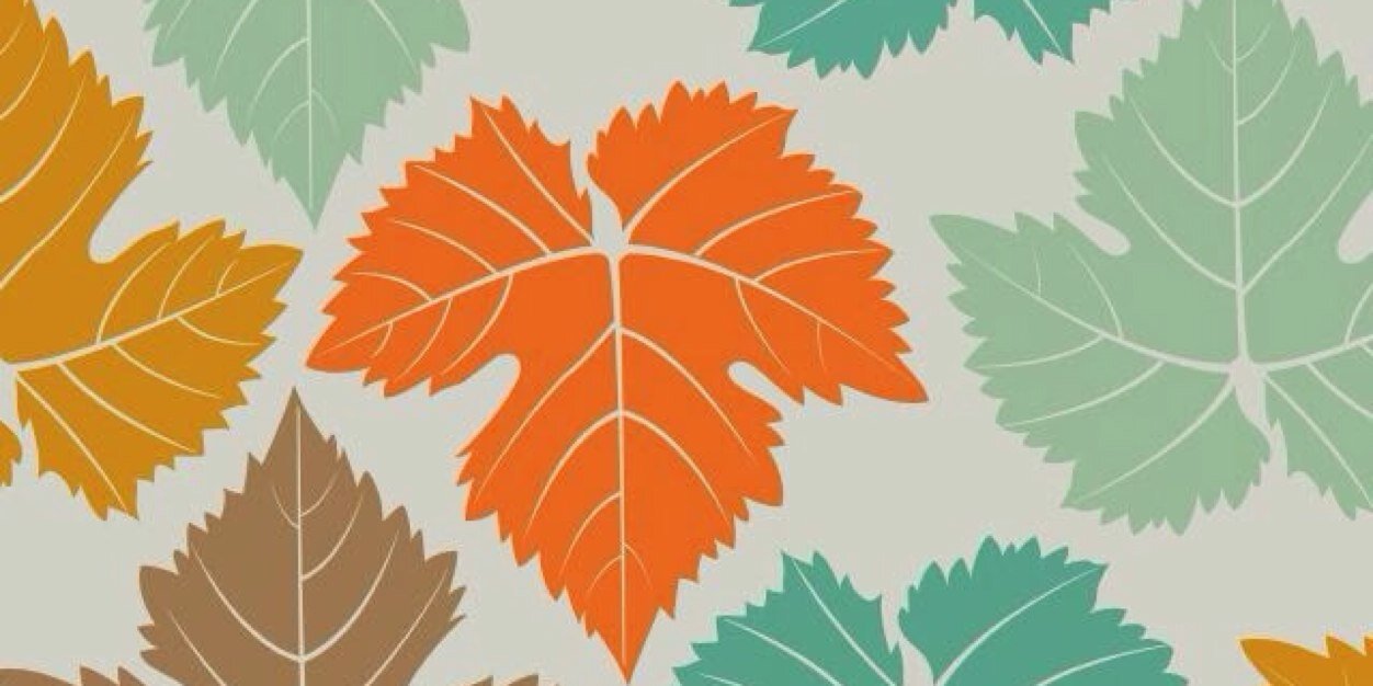 marji05's profile banner image