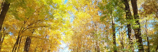 kess_c Profile Banner