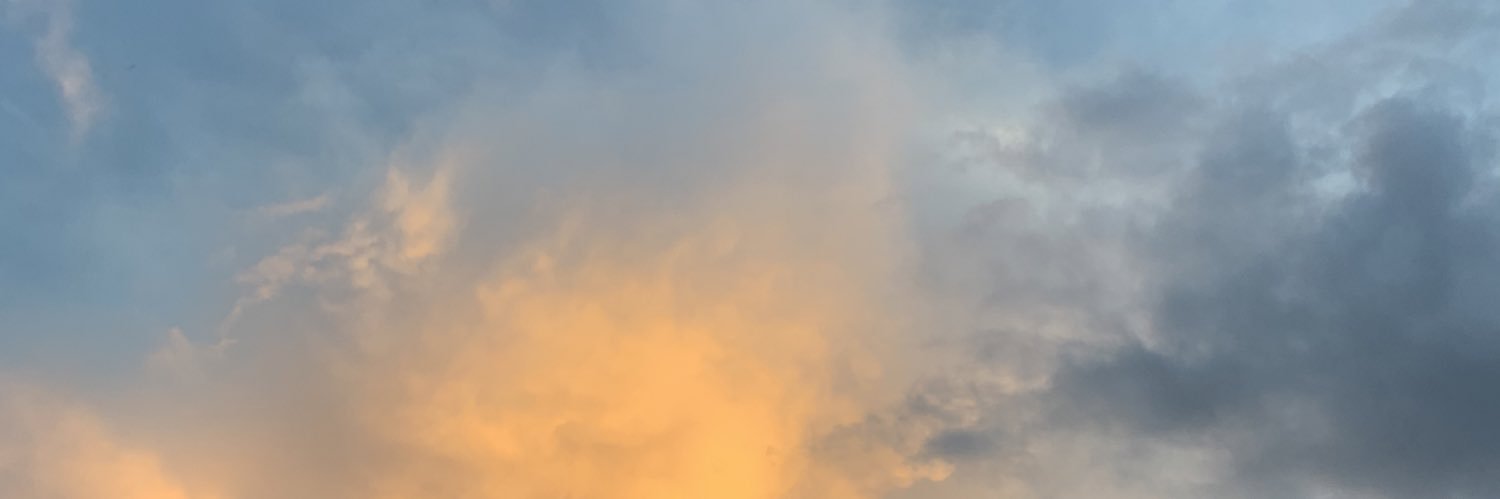 なりちゃん🌿나리 banner